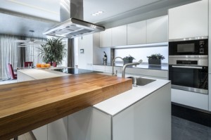 Modern interior kitchen design